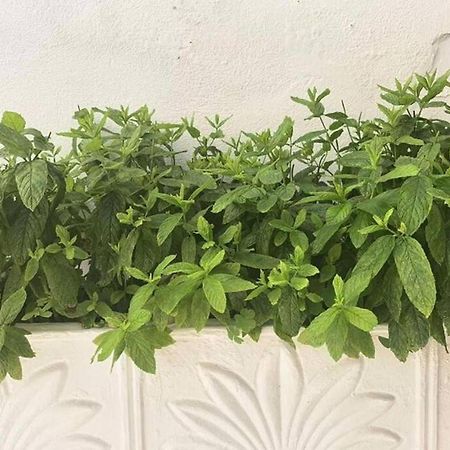 Dolce Vita - In The Heart Of Lefkada - Lefkada Bnb Экстерьер фото
